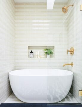 bathtub showercombo